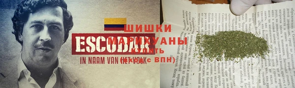 индика Медвежьегорск