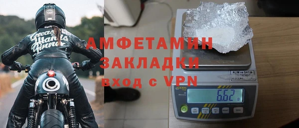 индика Медвежьегорск