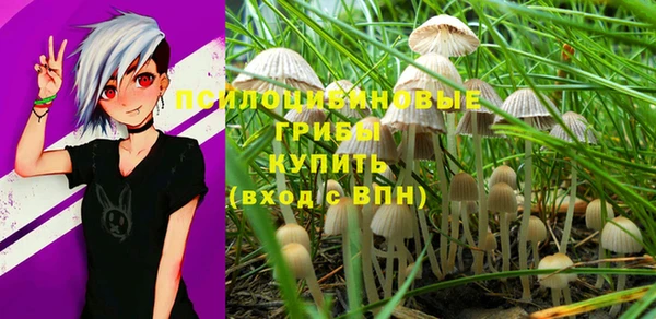 дмт Мегион