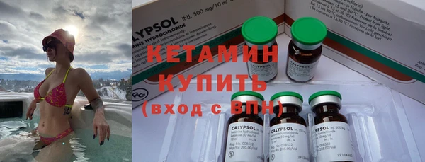 индика Медвежьегорск