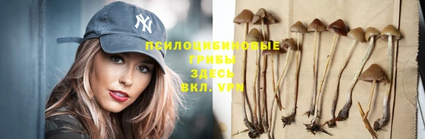 дмт Мегион