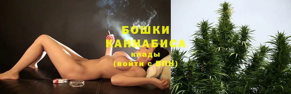 индика Медвежьегорск