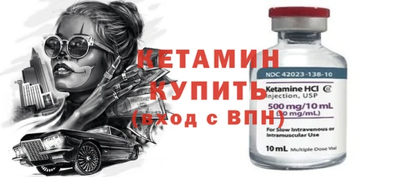 индика Медвежьегорск