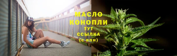 индика Медвежьегорск