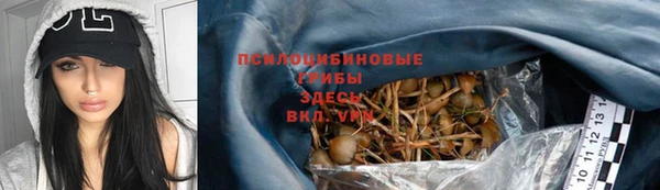 амф Медногорск