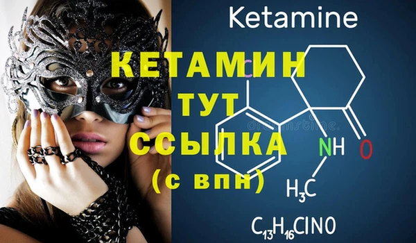 индика Медвежьегорск