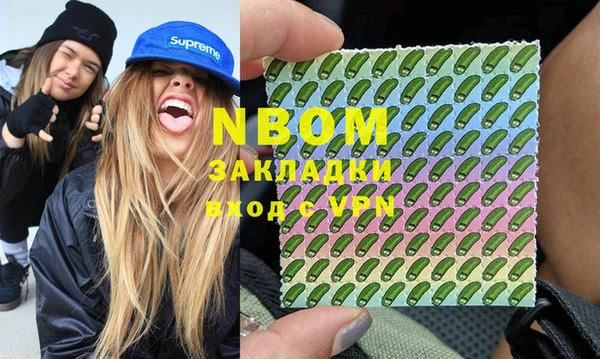 индика Медвежьегорск