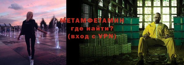 индика Медвежьегорск