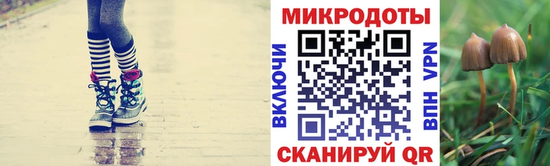 наркошоп  блэк спрут маркетплейс  Псилоцибиновые грибы мухоморы  Ярцево 